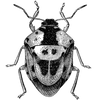 devendraaphale_976 profile image