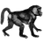 Prasath