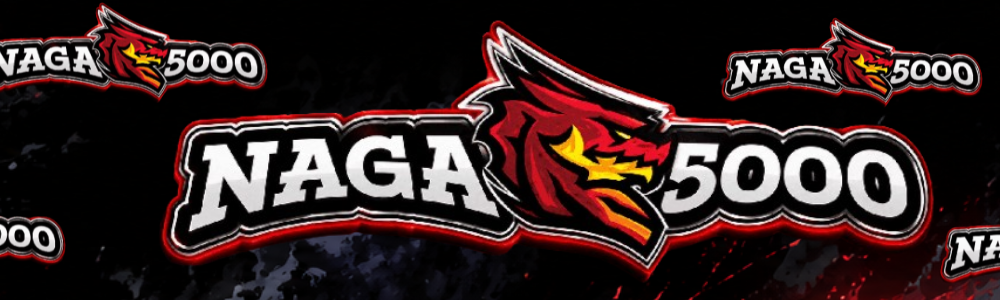 Cover image for NAGA5000 Platform Information
