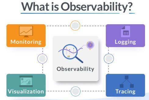 Cover image for What is obserbability?