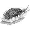 ayeshas profile image