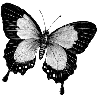 Dharmendra kumar profile picture