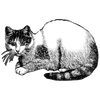 badepradnya2022_378 profile image