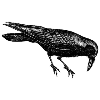 Vaishnavi Parthasarathy profile picture