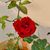lingamgunta_sreelakshmi_f profile image