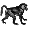 goviprasath_453 profile image