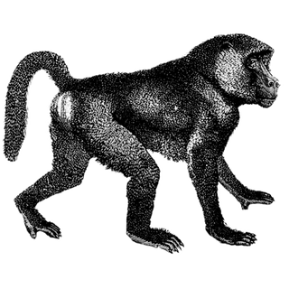 sayali profile picture