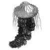 pavangarena2412 profile image
