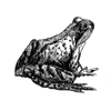 beyondling profile image